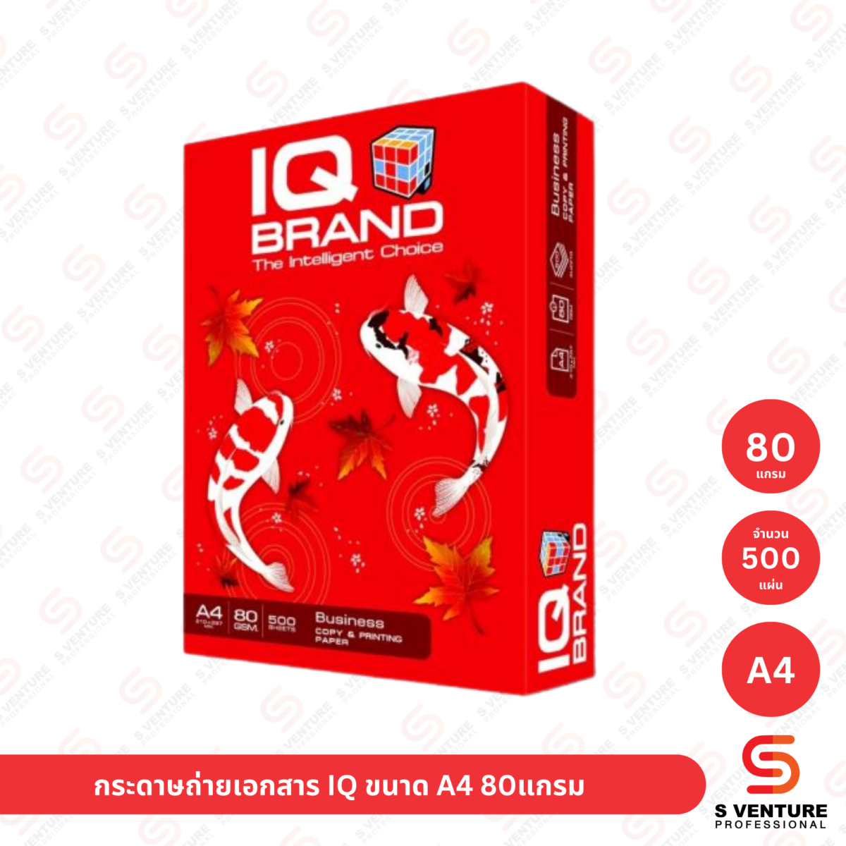 กระดาษถ่ายเอกสาร IQ Brand ขนาด A4 80แกรม (รีม)
